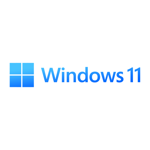 WINDOWS 11